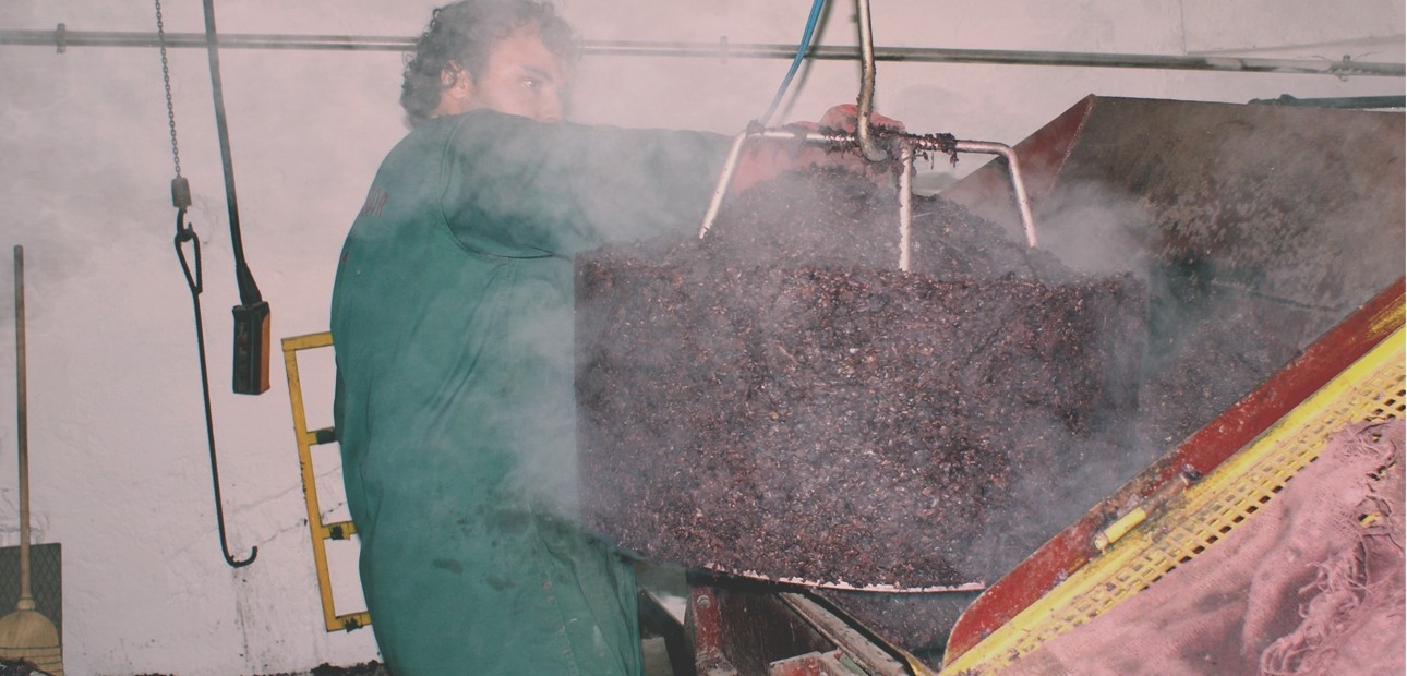Estrazione delle vinacce esauste dall'alambicco. Distillatore Mirco Guala